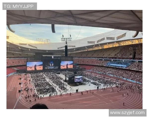 张芳独家解析足球技巧与战术分享助你提升球技与观赛体验